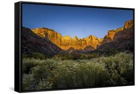 The Temples and Towers of Virgin in Utah's Zion National Park at Sunrise-Clint Losee-Framed Stretched Canvas