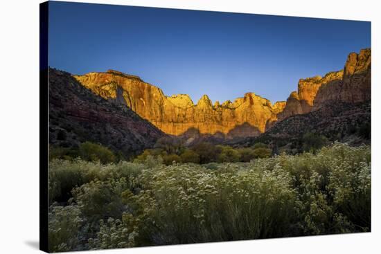 The Temples and Towers of Virgin in Utah's Zion National Park at Sunrise-Clint Losee-Stretched Canvas