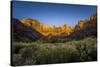 The Temples and Towers of Virgin in Utah's Zion National Park at Sunrise-Clint Losee-Stretched Canvas