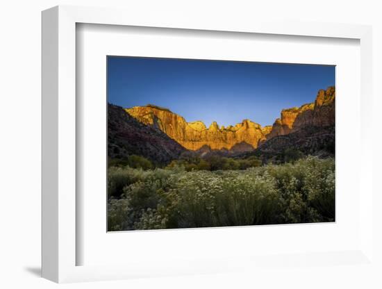 The Temples and Towers of Virgin in Utah's Zion National Park at Sunrise-Clint Losee-Framed Photographic Print