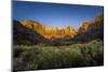 The Temples and Towers of Virgin in Utah's Zion National Park at Sunrise-Clint Losee-Mounted Photographic Print