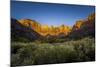 The Temples and Towers of Virgin in Utah's Zion National Park at Sunrise-Clint Losee-Mounted Photographic Print