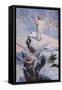 The temptation of Jesus - Bible-William Brassey Hole-Framed Stretched Canvas