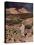 The temptation of Jesus - Bible-William Brassey Hole-Stretched Canvas