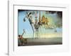 The Temptation of Saint Anthony, 1946-Salvador Dali-Framed Art Print