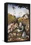 The Temptation of Saint Anthony-Hieronymus Bosch-Framed Stretched Canvas