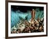 The Ten Commandments, Charlton Heston, 1956-null-Framed Photo