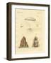 The Termites-null-Framed Giclee Print