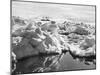 The Terra Nova in the Mc Murdo Sound, from Scotts Last Expedition-Herbert Ponting-Mounted Photographic Print