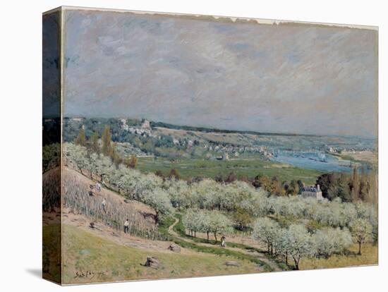 The Terrace at Saint-Germain, Spring, 1875-Alfred Sisley-Stretched Canvas