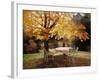 The Terrace, Autumn-Victor Charreton-Framed Giclee Print