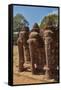 The Terrace of the Elephants, Angkor Thom, Angkor World Heritage Site, Siem Reap, Cambodia-David Wall-Framed Stretched Canvas