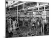 The Testing Room, Leland Faulconer Manufacturing Co., Detroit, Mich.-null-Mounted Photo