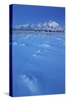 The Teton Range at Dawn after a Fresh Snow-James Hager-Stretched Canvas