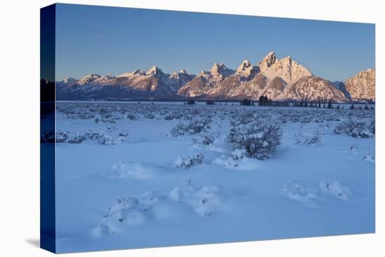 The Teton Range at First Light after a Fresh Snow-James Hager-Stretched Canvas