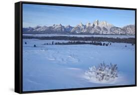 The Tetons at Dawn after a Fresh Snow-James Hager-Framed Stretched Canvas