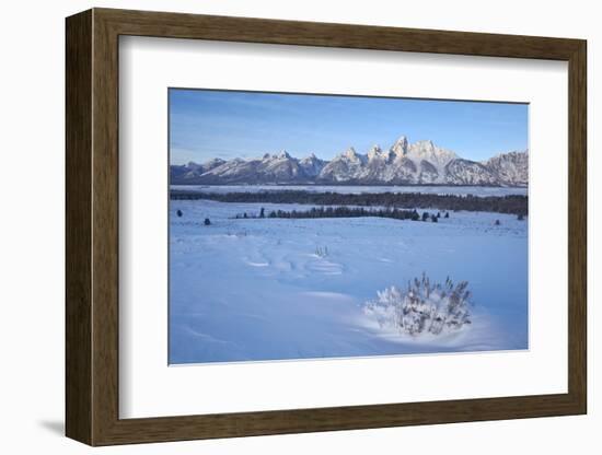 The Tetons at Dawn after a Fresh Snow-James Hager-Framed Photographic Print