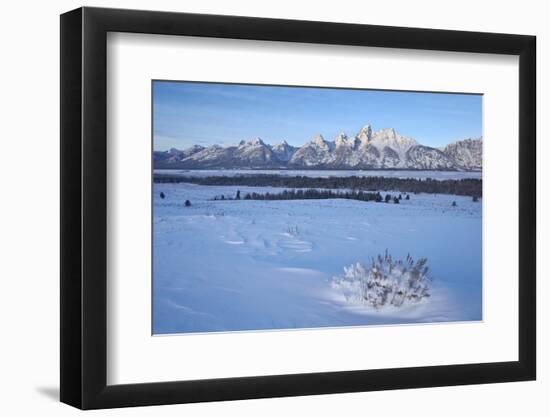 The Tetons at Dawn after a Fresh Snow-James Hager-Framed Photographic Print