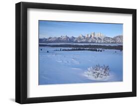 The Tetons at Dawn after a Fresh Snow-James Hager-Framed Photographic Print