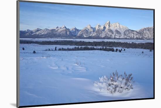 The Tetons at Dawn after a Fresh Snow-James Hager-Mounted Photographic Print