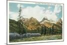 Wood Mount