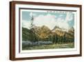 Brown Frame