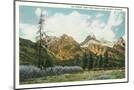 Wood Mount