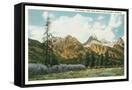 Canvas Black