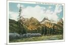 Wood Mount