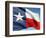 The Texas Flag-bioraven-Framed Art Print