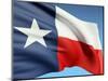 The Texas Flag-bioraven-Mounted Art Print