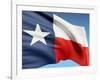 The Texas Flag-bioraven-Framed Art Print