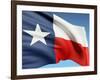 The Texas Flag-bioraven-Framed Art Print