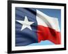 The Texas Flag-bioraven-Framed Art Print