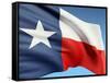 The Texas Flag-bioraven-Framed Stretched Canvas