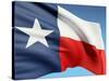 The Texas Flag-bioraven-Stretched Canvas