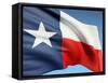 The Texas Flag-bioraven-Framed Stretched Canvas