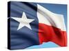 The Texas Flag-bioraven-Stretched Canvas