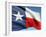 The Texas Flag-bioraven-Framed Art Print