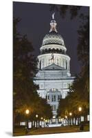 The Texas State Capitol Building in Austin, Texas.-Jon Hicks-Mounted Premium Photographic Print