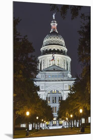 The Texas State Capitol Building in Austin, Texas.-Jon Hicks-Mounted Premium Photographic Print