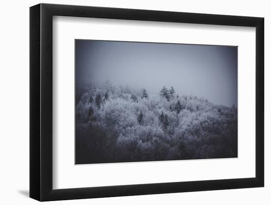The Texture of Fog-Philippe Sainte-Laudy-Framed Photographic Print