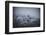 The Texture of Fog-Philippe Sainte-Laudy-Framed Photographic Print