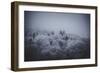 The Texture of Fog-Philippe Sainte-Laudy-Framed Photographic Print