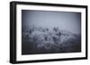 The Texture of Fog-Philippe Sainte-Laudy-Framed Photographic Print