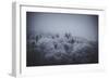 The Texture of Fog-Philippe Sainte-Laudy-Framed Photographic Print