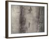 The Thames, 1896-James Abbott McNeill Whistler-Framed Giclee Print