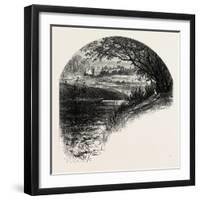 The Thames at Hampton Court, UK-null-Framed Giclee Print