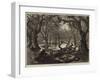 The Thames Floods, Scene in the Home Park, Windsor-null-Framed Giclee Print