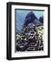 The the Inca Citadel of Machu Picchu-null-Framed Photographic Print